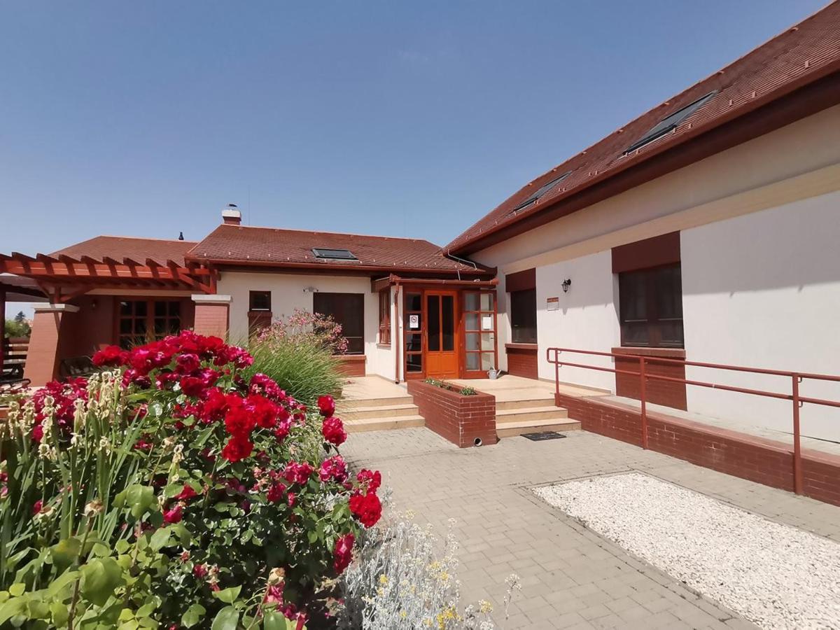 Kamilla Panzio Es Rendezvenyhaz Bed & Breakfast Balmazujvaros Exterior photo